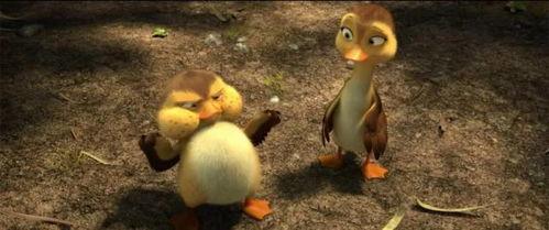 鸭子国产视频,鸭子的趣味生活大揭秘  第2张 鸭子国产视频,鸭子的趣味生活大揭秘  第2张