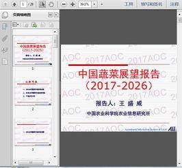 国产27页,深度解析中国电影产业的新篇章
